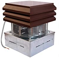Gemi Elettronica Extractor de Humo Extractores de Humo para chimeneas para Barbacoa Aspirador de Humos para Chimenea…